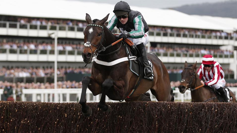 Altior is now 1.73 for the Champion Chase on the Betfair Exchange